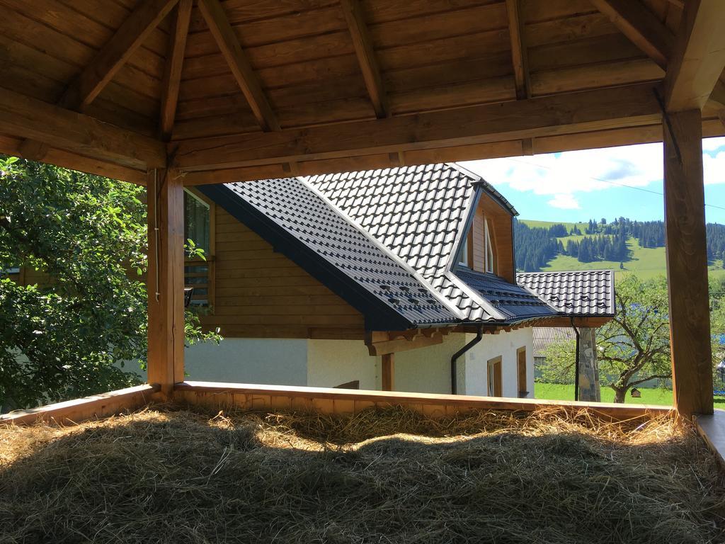 Cottage Familiya Verkhovyna Luaran gambar